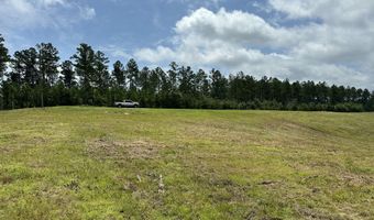 0 Otis Paine Rd, Bethel Springs, TN 38315