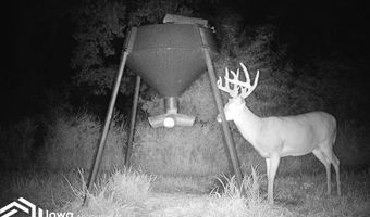 560 Th Ave, Albia, IA 52531