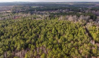 Jacksonville Loop, Tallapoosa, GA 30176