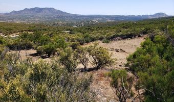 0 Ribbonwood Dr, Mountain Center, CA 92561