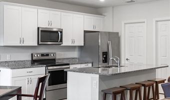 4596 Lamaida, Ave Maria, FL 34142