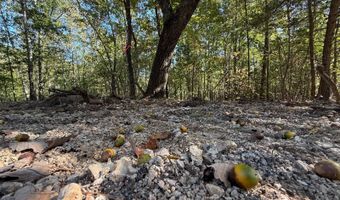 0 Slasham Rd, Ashville, AL 35953