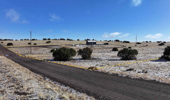 102 County Road 5105, Concho, AZ 85924