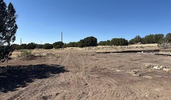 68 County Rd N8171, Concho, AZ 85924