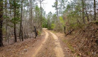 6498 County Road 222, Coffeeville, MS 38922