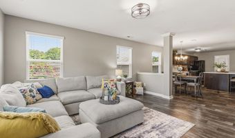 49 Paige Stone Way, Angier, NC 27501