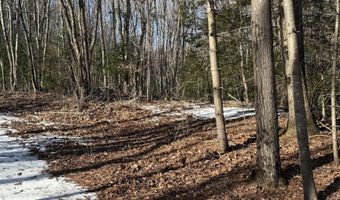 Nepaug Road, Burlington, CT 06013