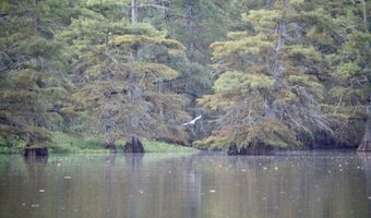 Bolivar Road, Benoit, MS 38725