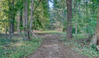 979 BARNEY JENKINS Rd, Felton, DE 19943