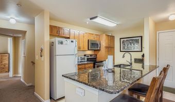 233 PELICAN Cir 1501, Breckenridge, CO 80424