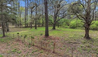 Harrisville Braxton Road, Braxton, MS 39044