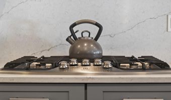 29390 SPY GLASS Ln, Dagsboro, DE 19939