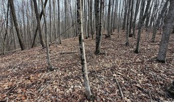 1029 Chippawa Dr 67, Arden, NC 28704