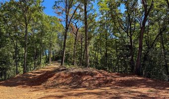 3 Black Rock Trl 3, Andrews, NC 28901