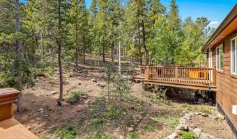 798 S Dory Lakes Dr, Black Hawk, CO 80422