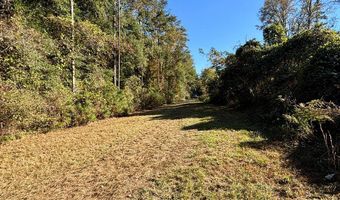 0 Alternate 97, Abbeville, AL 36310