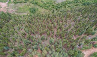 427 Wise Rd, Bailey, CO 80421
