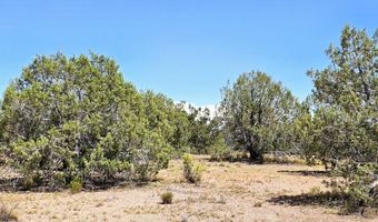 3200 W Poppy Rd, Ash Fork, AZ 86320