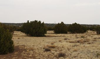 21 County Rd, Concho, AZ 85924