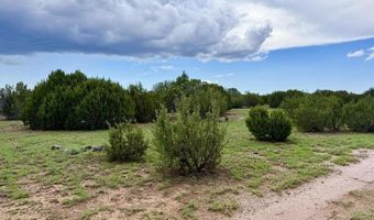 116 Co Rd 8127, Concho, AZ 85924
