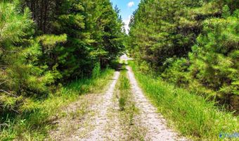 Arley Lndg, Arley, AL 35541