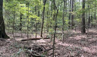 Brock Cir, Brandon, MS 39042