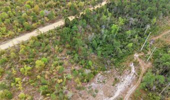 Channel Drive, Alford, FL 32420
