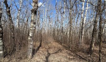 3 Boundary Lk, Bottineau, ND 58318