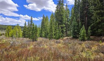 PCS # 10594 Looney Lane lot 0, Alma, CO 80420