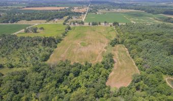 1991 Townline, Adrian, MI 49221