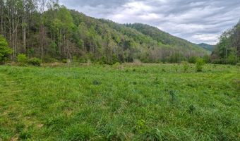 2789 Dry Fork Rd, Bandy, VA 24602