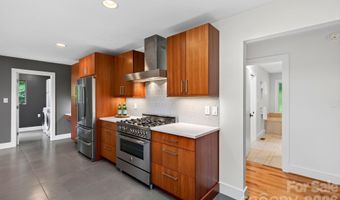 12 Beech Tree Ln, Asheville, NC 28804