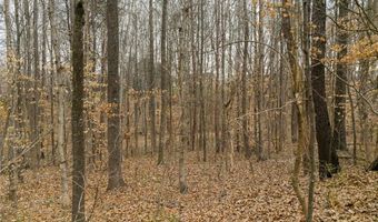 Seay Drive, Advance, NC 27006