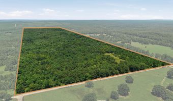 0001 E 1930 Rd, Antlers, OK 74523
