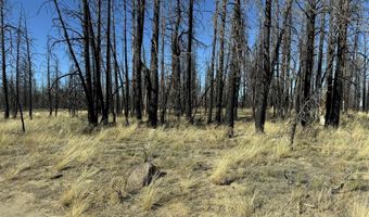 Mahogany Lane 200, Beatty, OR 97621