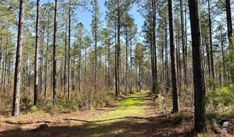 Highway 28, Abbeville, SC 29620