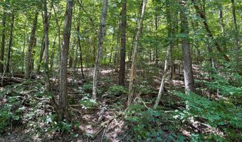 Lt 32 Mining Gap Trail, Young Harris, GA 30582