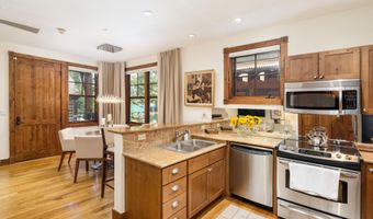 507 W Main St C101, Aspen, CO 81611