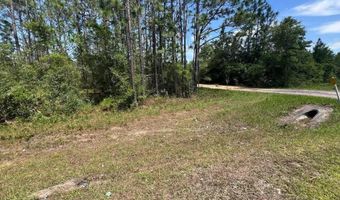 3974 NW Joy Ln, Altha, FL 32421