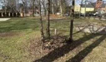Lots 1 & 2 S Second St, Bardstown, KY 40004