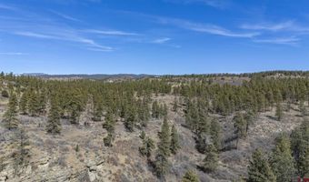 TBD Lot 4 Beaver Creek Ranch Drive, Bayfield, CO 81122