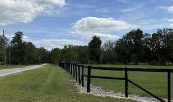 559 SW 15th Ct, Bell, FL 32619