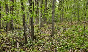 Valleyridge Circle, Alba, MI 49611