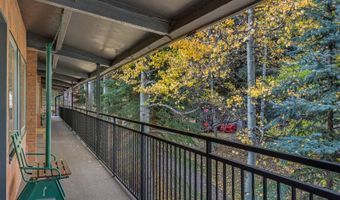731 S Mill St 3A, Aspen, CO 81611