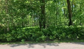 TBD MAPLE ISLE COURT UNIT 34, Alanson, MI 49706