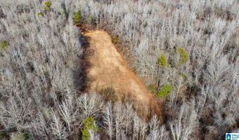 BRUSH CREEK DRIVE lot 0, Akron, AL 35441