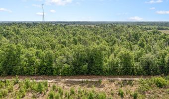 10367 NW County Road 274, Altha, FL 32421