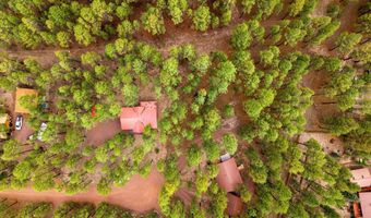 4 County Road 2089, Alpine, AZ 85920