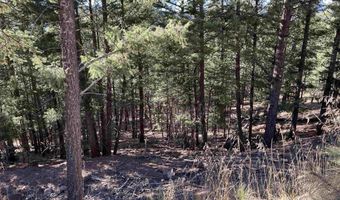 Back Basin Rd lot 156, Angel Fire, NM 87710