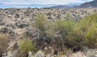 740 CHIATOVICH CREEK Rd, Dyer, NV 89010